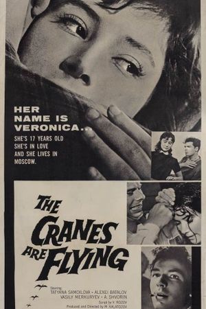 The Cranes Are Flying's poster