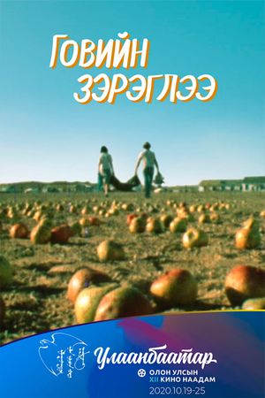 The Mirage Above the Gobi Desert's poster