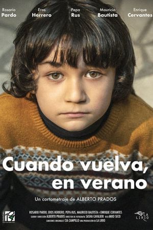 Cuando vuelva, en verano's poster