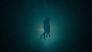 The Shape of Water's poster
