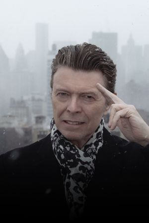 David Bowie: The Last Five Years's poster image