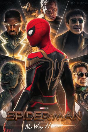 Spider-Man: No Way Home's poster