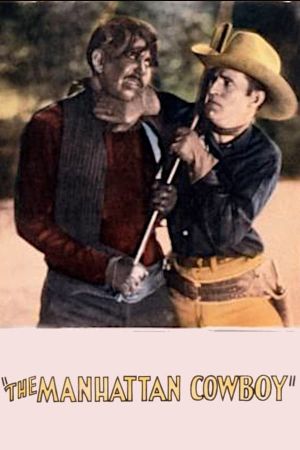 The Manhattan Cowboy's poster