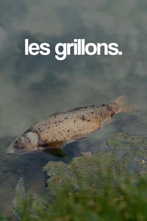 les grillons.'s poster