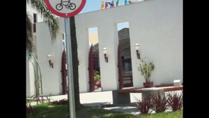 Um Dia Sem Sal's poster