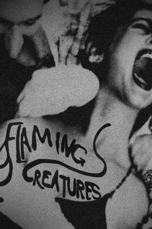 Flaming Creatures's poster