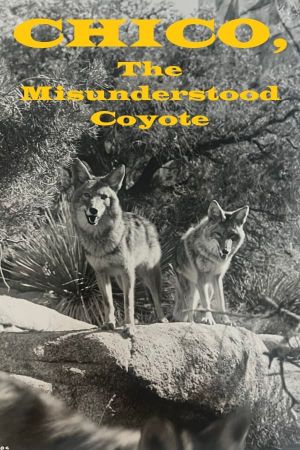 Chico, the Misunderstood Coyote's poster