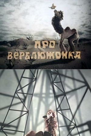 About the Little Camel's poster
