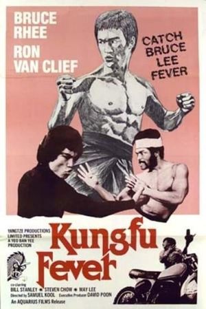 Kung Fu Fever's poster