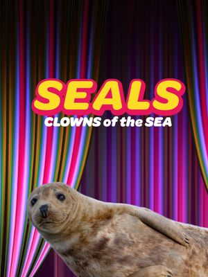 Seals - Clowns of the Sea's poster