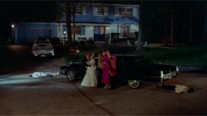 Polyester's poster