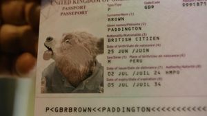 Paddington in Peru's poster