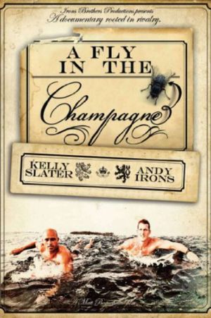 A Fly in the Champagne's poster