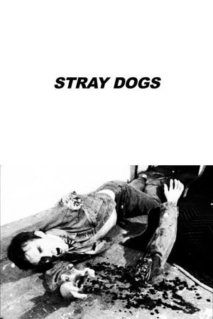 Stray Dogs's poster