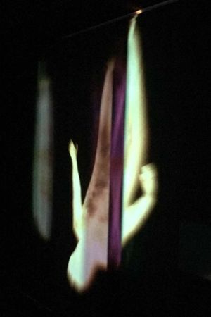 Light-Bodies's poster