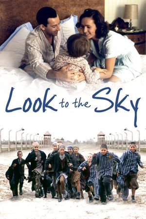 Look to the Sky's poster