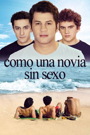 Bromance's poster