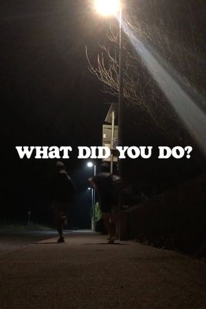 What Did You Do?'s poster