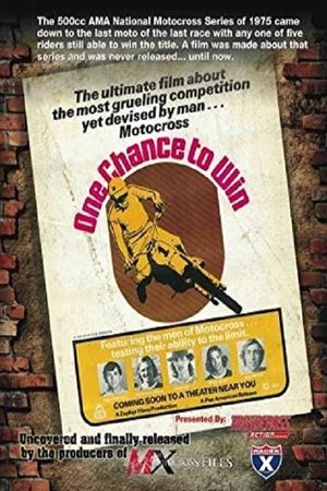 One Chance to Win's poster