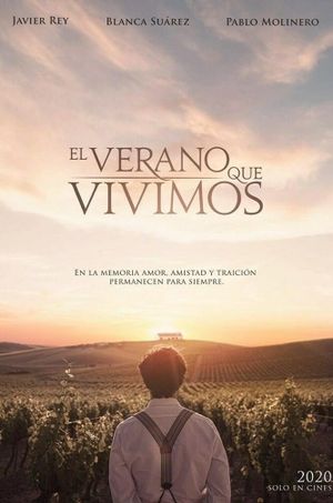 El verano que vivimos's poster