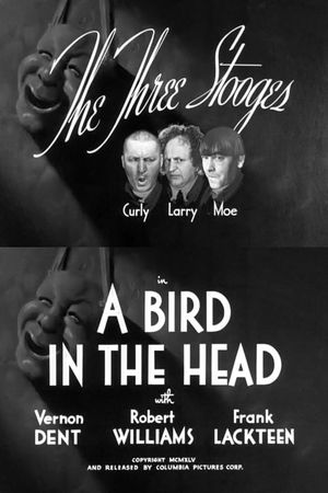 A Bird in the Head's poster