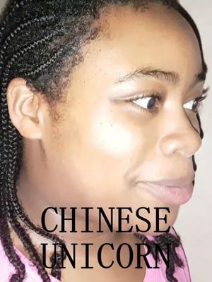 Chinese Unicorn's poster