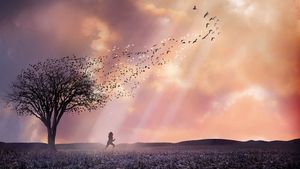 The Lovely Bones's poster