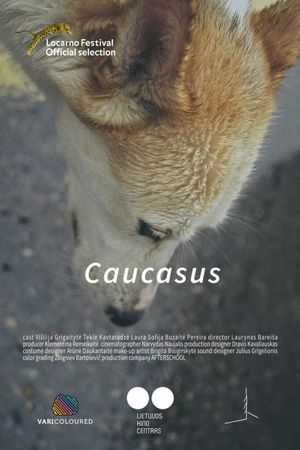 Caucasus's poster