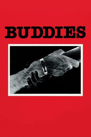Buddies's poster image
