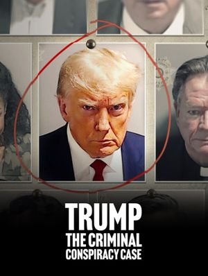 Trump: The Criminal Conspiracy Case's poster