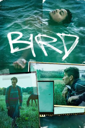 Bird's poster