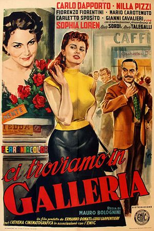 Ci troviamo in galleria's poster