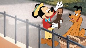 Mickey and the Seal's poster