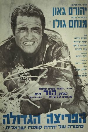 Attack at Dawn's poster