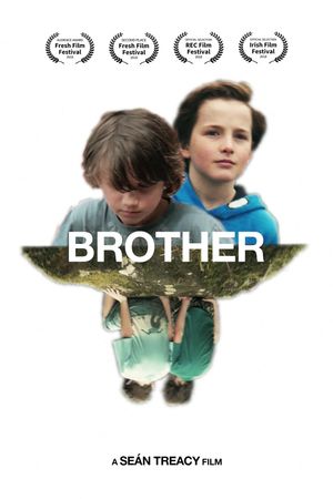 Brother's poster