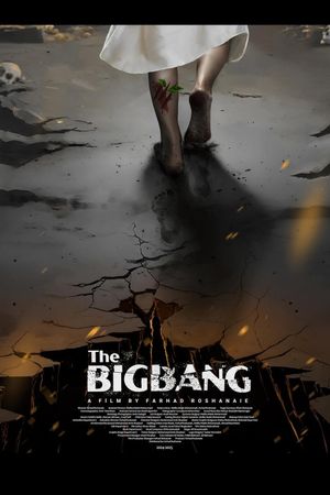 The Big Bang's poster