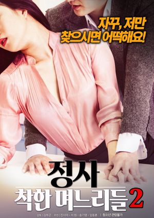 An Affair: Kind Daughters-in-law 2's poster image