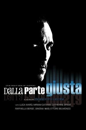 Dalla parte giusta's poster