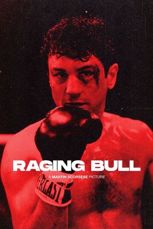 Raging Bull's poster