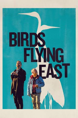 Birds Flying East's poster