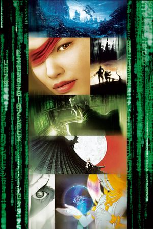 The Animatrix's poster