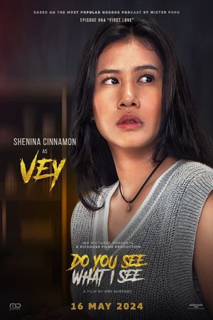 Do You See What I See's poster