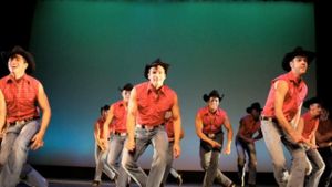 DC Cowboys Exposed: On Stage & at Play's poster