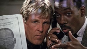 Another 48 Hrs.'s poster