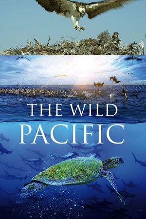 The Wild Pacific's poster