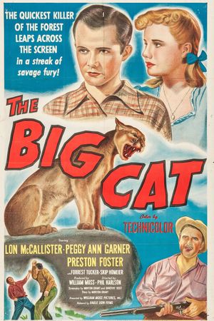 The Big Cat's poster