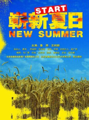New Summer's poster