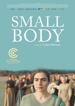 Small Body's poster