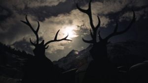 Winter Silence's poster