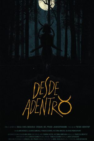 Desde Adentro's poster